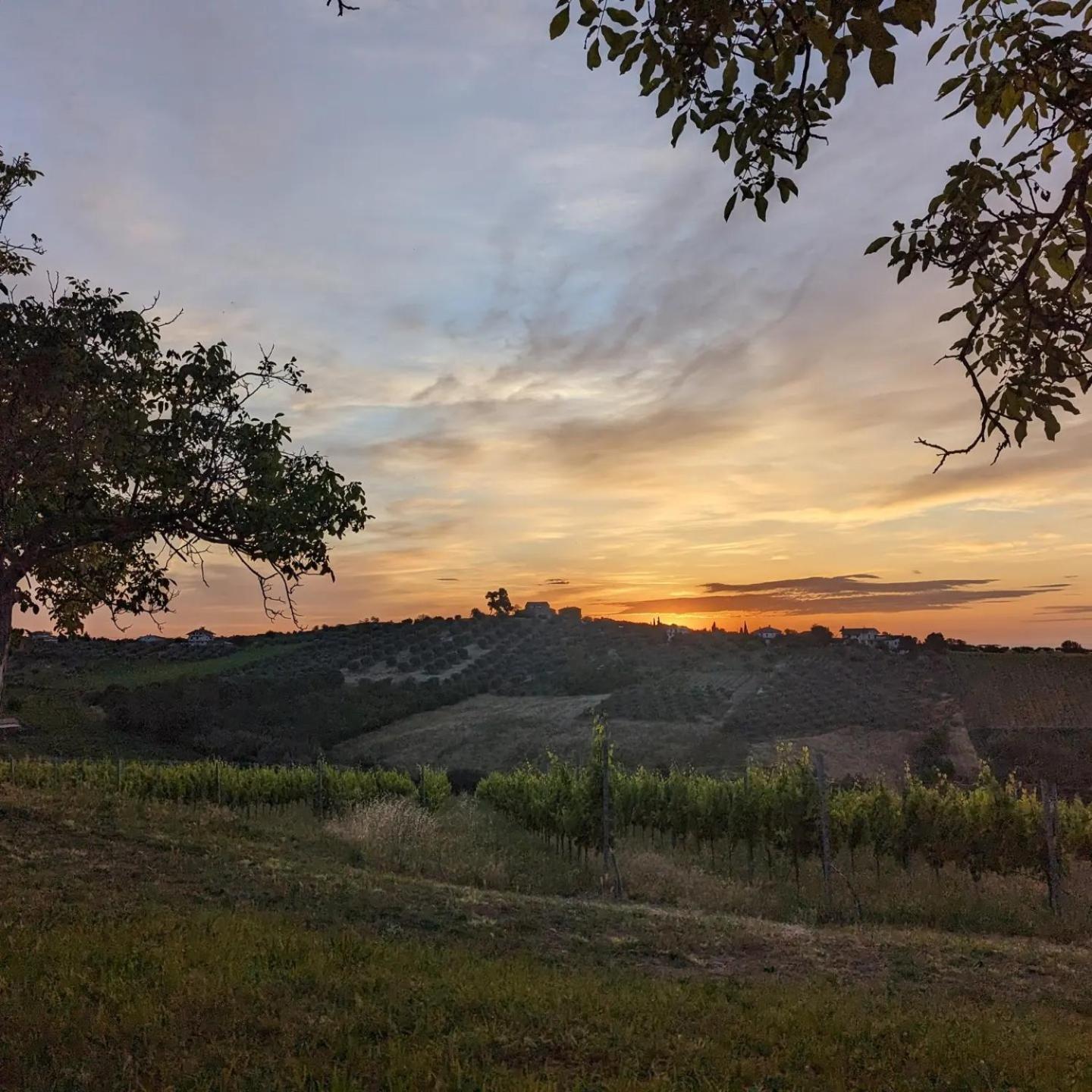 Agriturismo Torre Mannella - La Loggia 치타 산트  안젤로 외부 사진